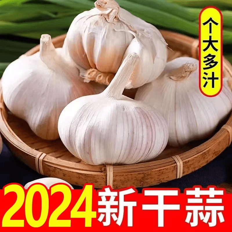 【产地严选】鲜蒜山东金乡正宗大蒜原产地直发高品质大蒜大蒜头可种