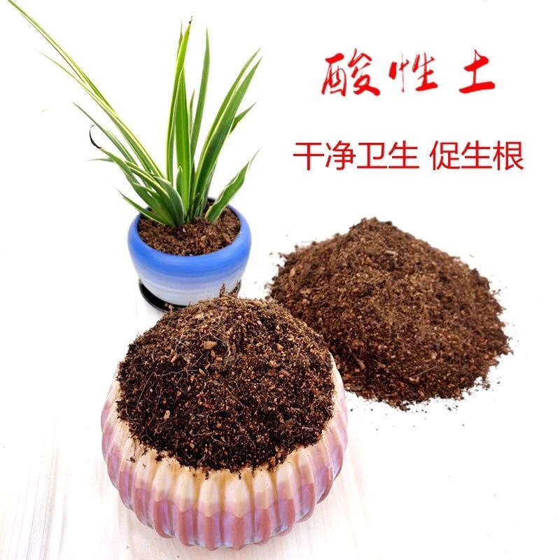 杜鹃花专用土土质疏松肥沃