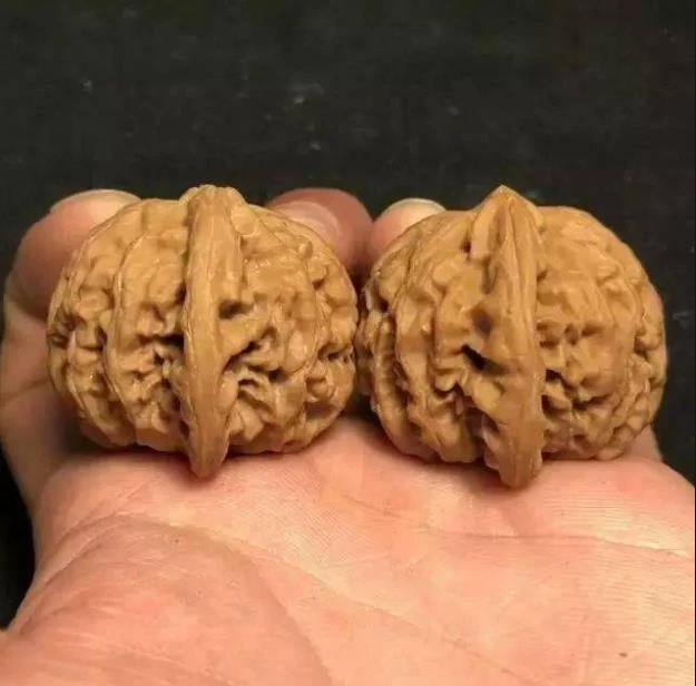 练手核桃一对