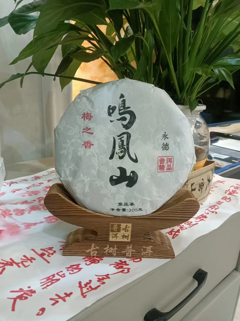 临沧市，永德县，2023年鸣凤山古树茶头春，200克