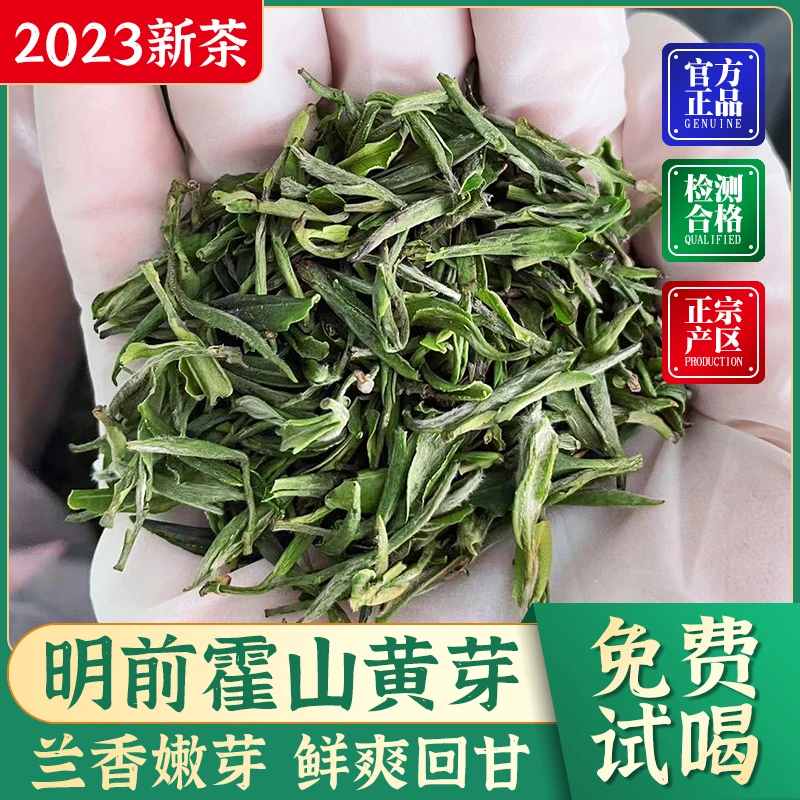 2023年新茶黄茶正宗明前霍山黄芽兰香馥郁鲜爽甘醇50g 尝鲜装