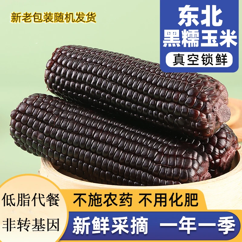 【小东北】2023东北黑玉米实际重260g*8+2支透明袋包装
