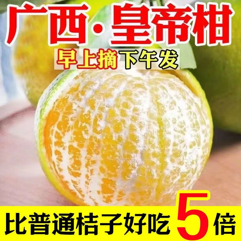 正宗广西皇帝柑新鲜贡柑水果5斤/8斤柑橘桔子