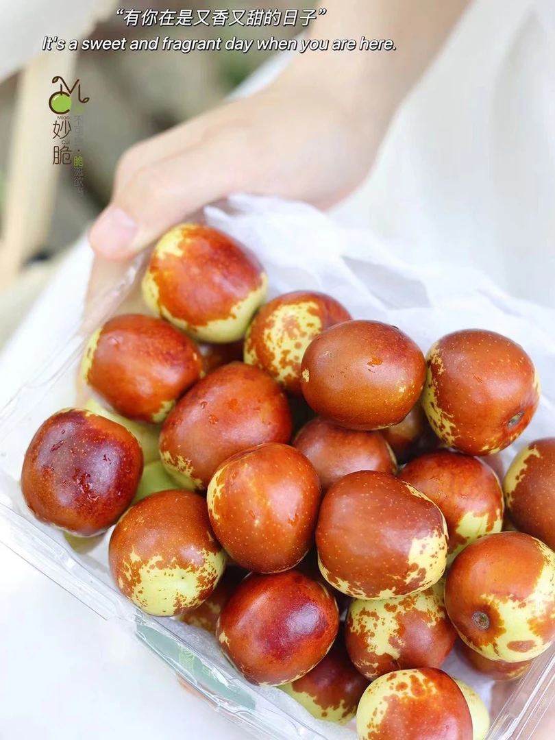 【牛奶冬枣】牛奶冬枣  口感脆甜 皮薄无渣 枣味浓郁 核小 3斤起