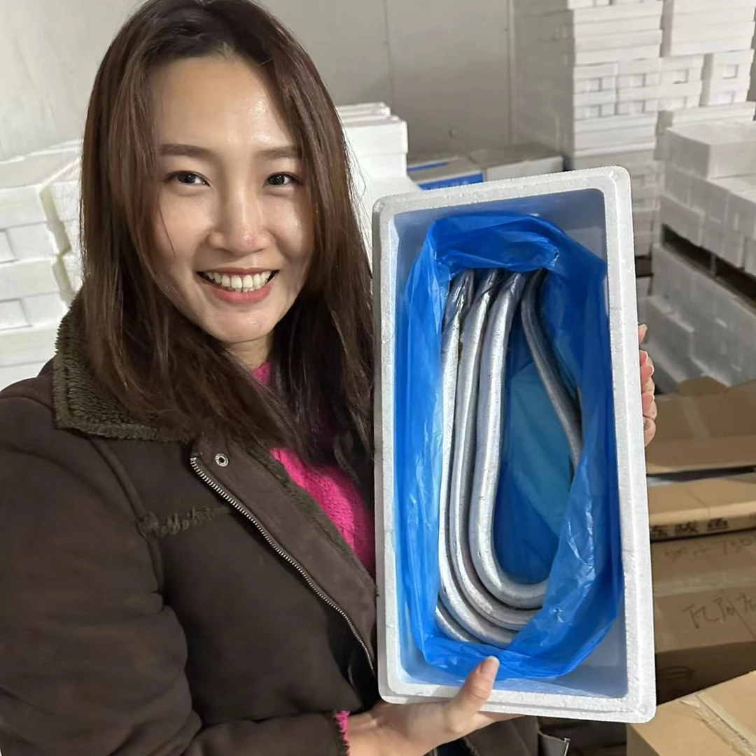 渤海湾带鱼大连刀鱼深海野生鱼(4斤装5-6条)鲜鱼速冻船上直达加工