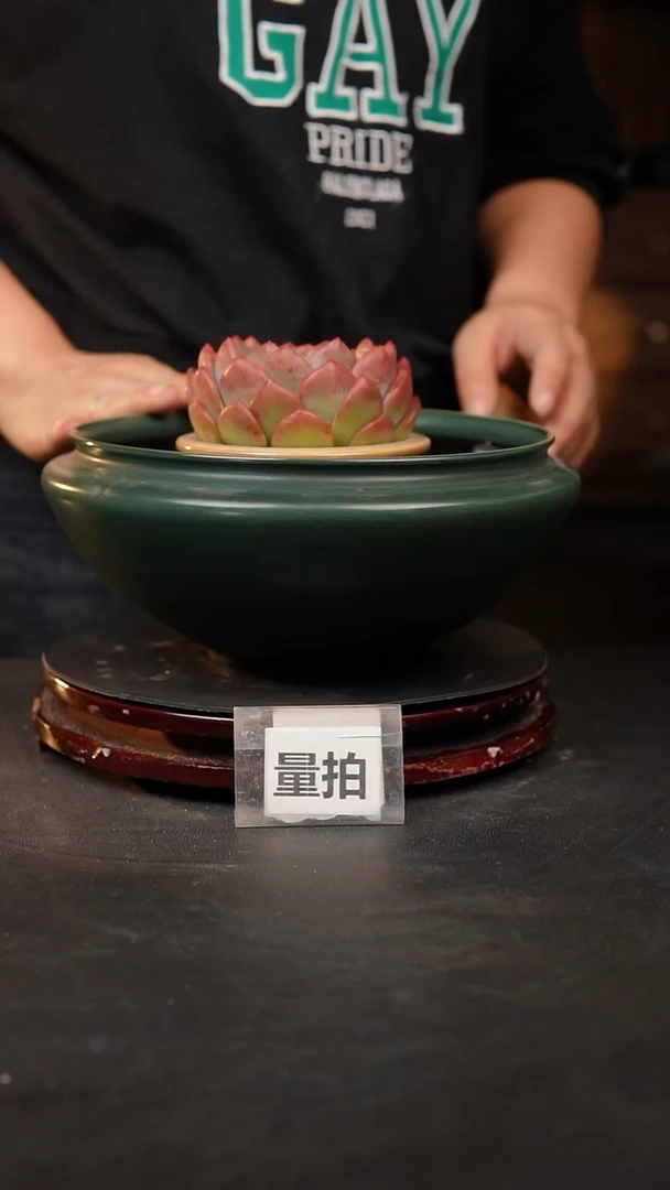 【闪购商品】瓷片 泥泥手工花盆口17高10