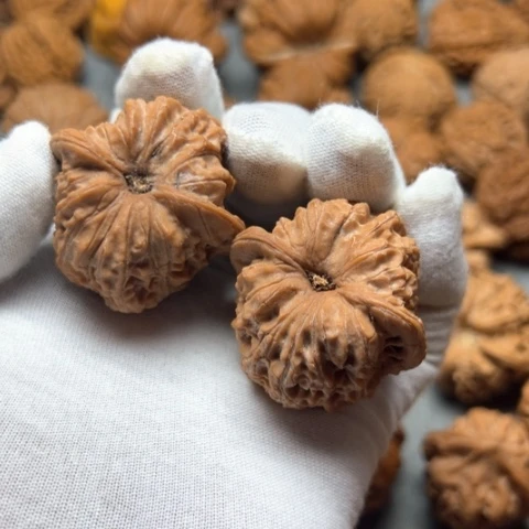 文玩核桃把件血麒麟
