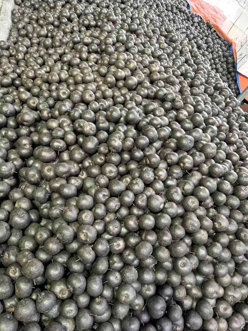 高林村精品(（冻梨）苹果梨黑梨