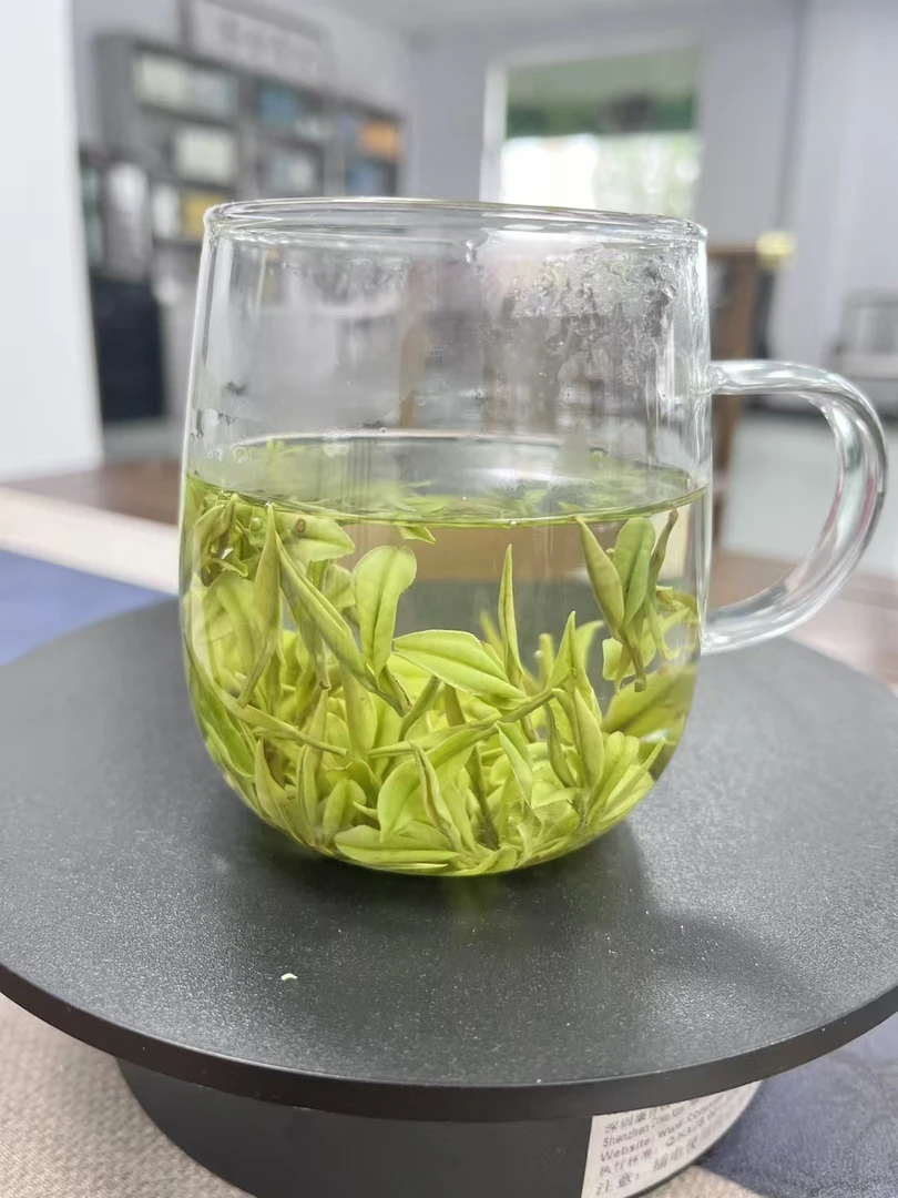 A279网红绿茶招牌金色天荒坪白茶新茶2025年绿茶招牌茶兰花香