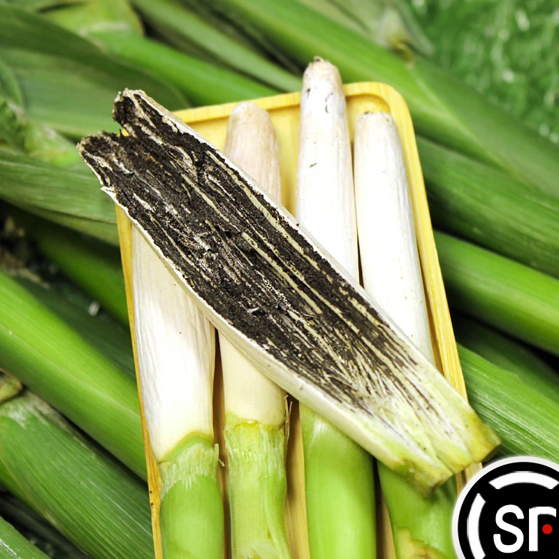 【顺丰】2025高粱乌米新鲜现摘东北特产10/20/30/40根