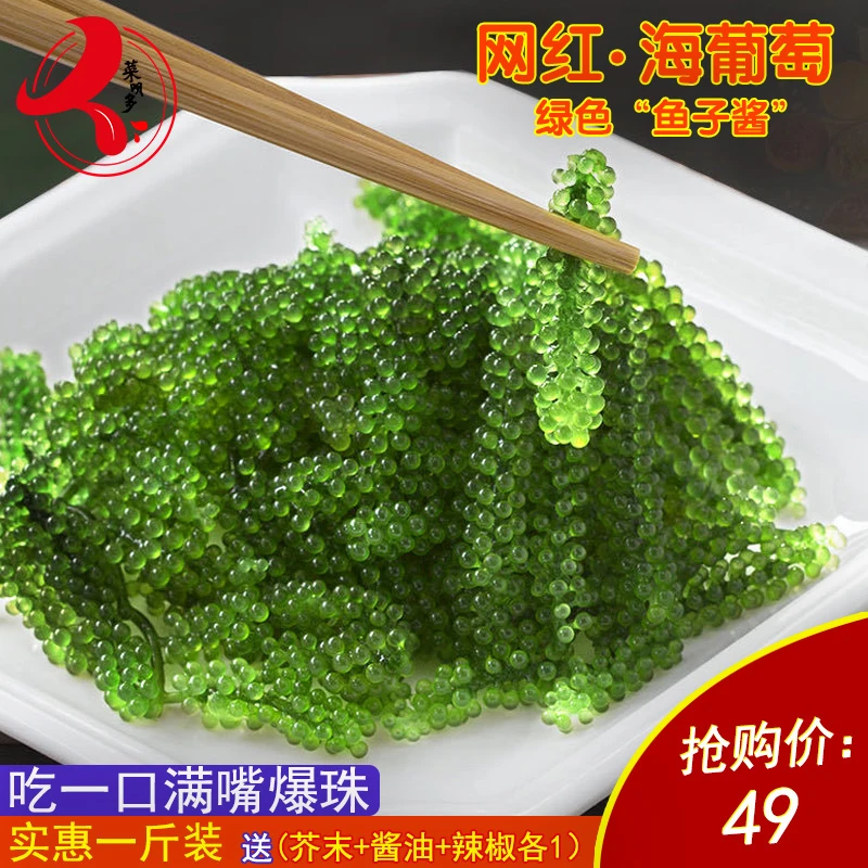 1斤特级盐渍海葡萄新鲜即食小零食一斤装干货鱼子酱精华吃的海藻