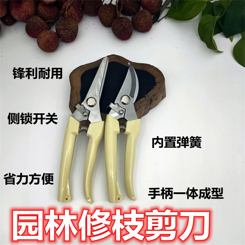 园艺修枝剪家用省力不锈钢强力摘果修剪树枝盆景花卉花艺剪刀果剪