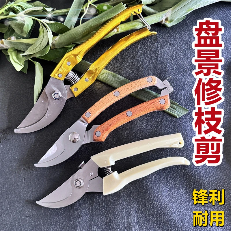园艺修枝剪花艺师插花专用剪花艺剪刀不锈钢剪花枝剪刀鲜花剪
