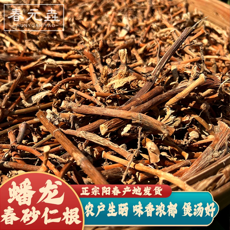 拍一发二/黄金女人根/十年老根正宗广东阳春蟠龙春砂仁根特产干货