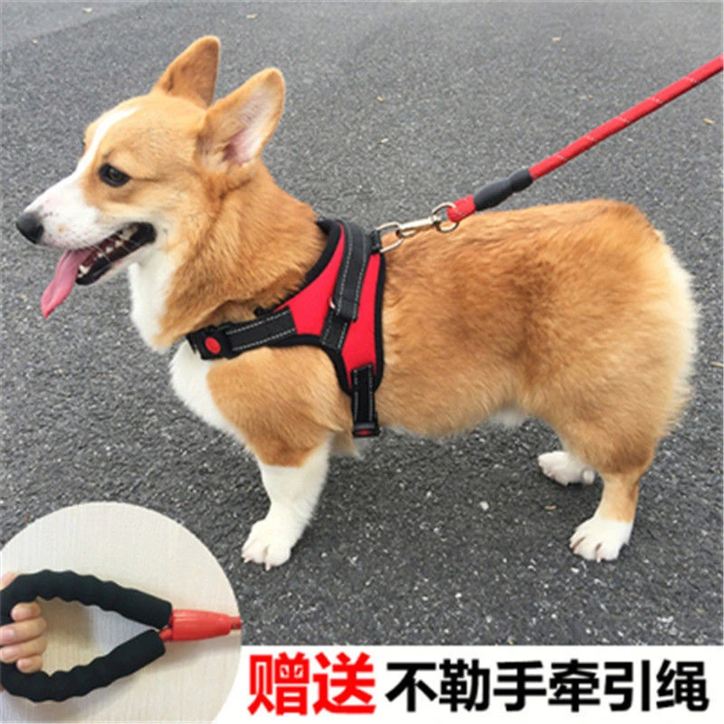 Z113狗狗牵引绳背心式遛狗绳子法斗柯基中型犬小型犬宠物用胸背带