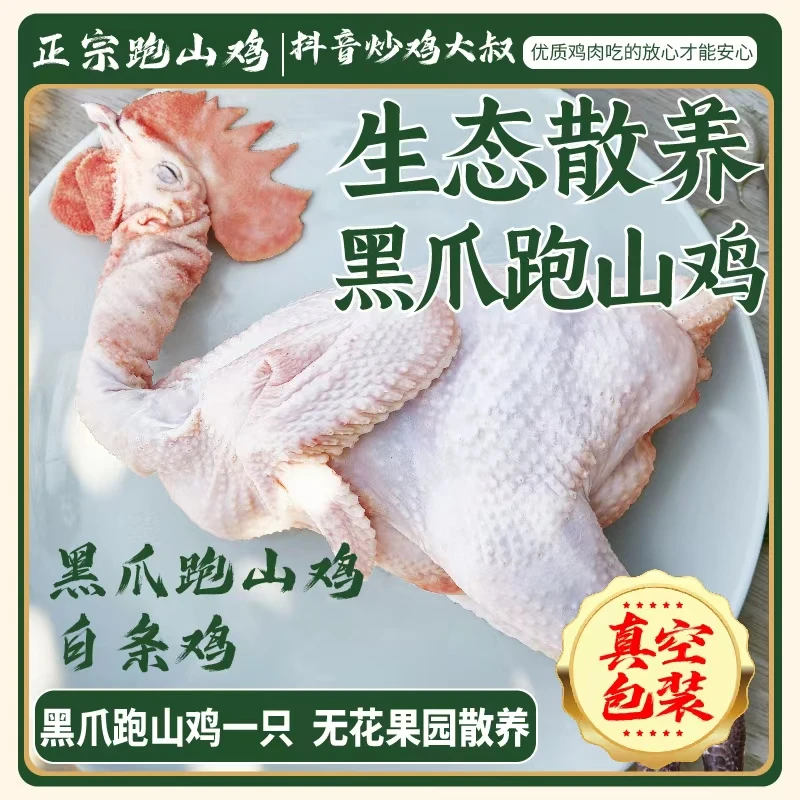 生鸡  两年左右  临沂生态散养老公鸡