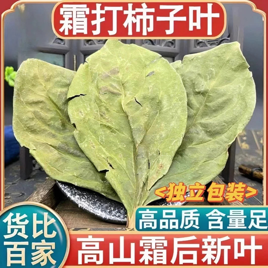 柿子叶柿叶霜后柿子树叶新鲜干货柿子叶粉柿子叶茶泡姜
