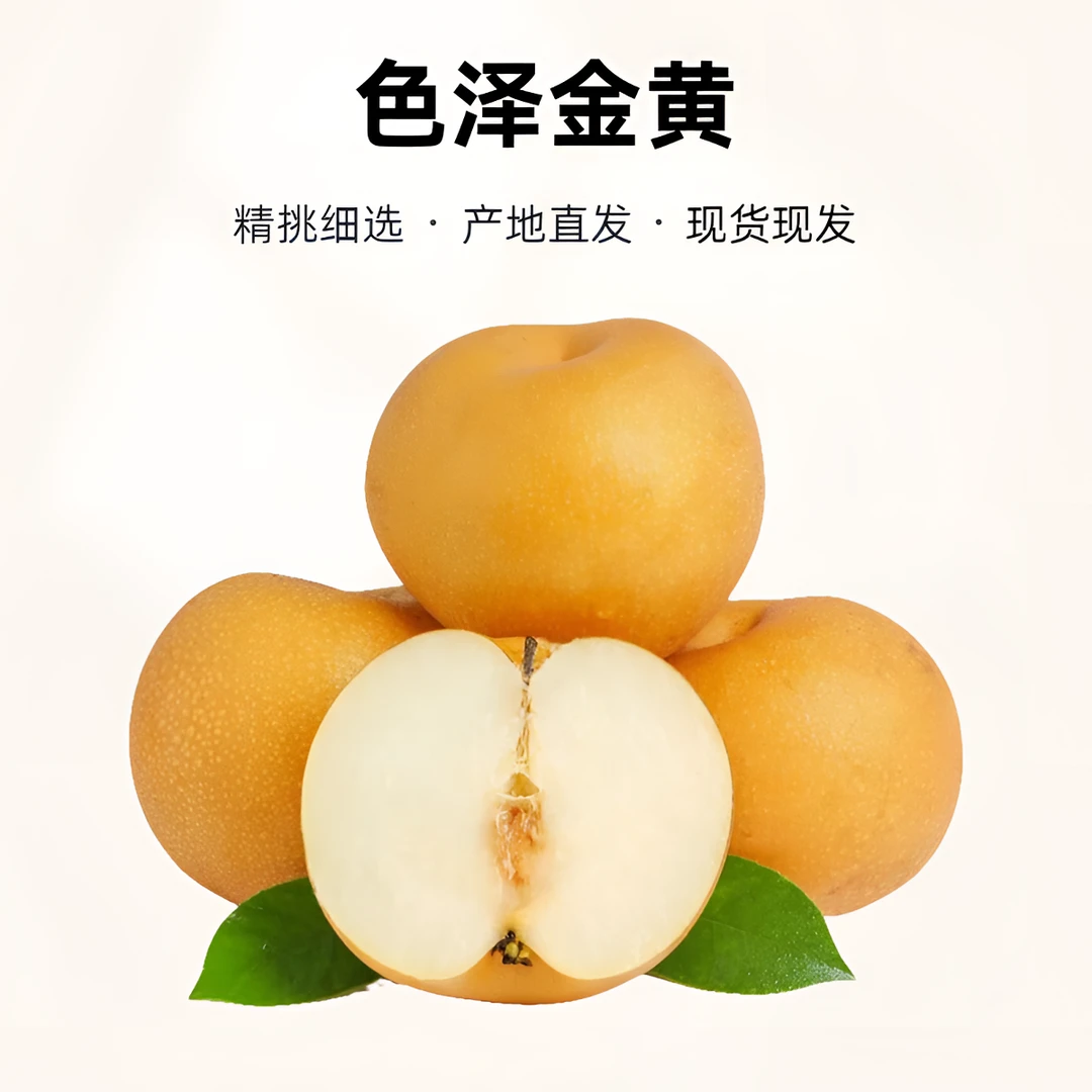 【中果】山东秋月梨皮薄肉厚脆甜爆汁带箱5斤（7-11个泡沫箱装）