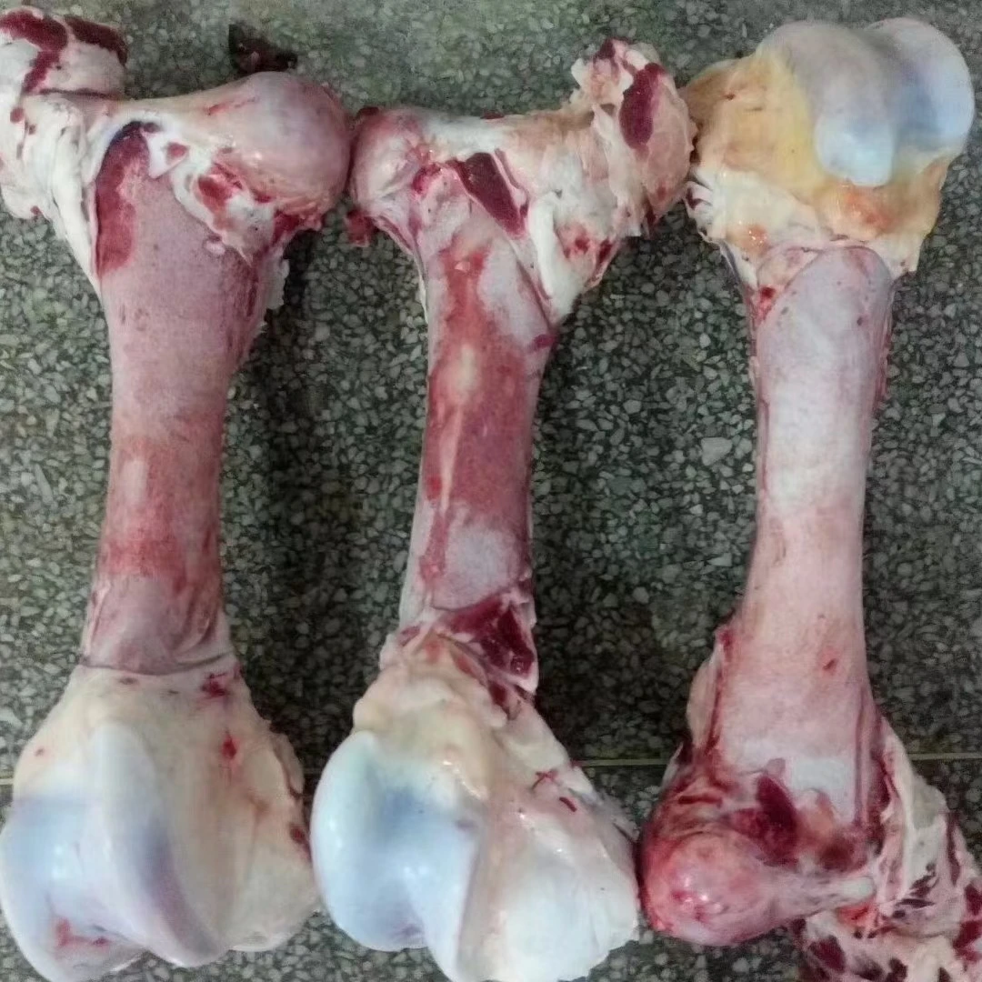 清真牛棒骨，腿骨，野生骨