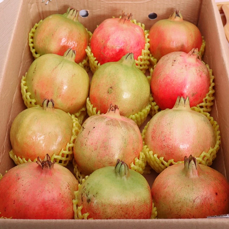 会理突尼斯软籽石榴水果5斤当季新鲜水果产地直发石榴软籽石榴