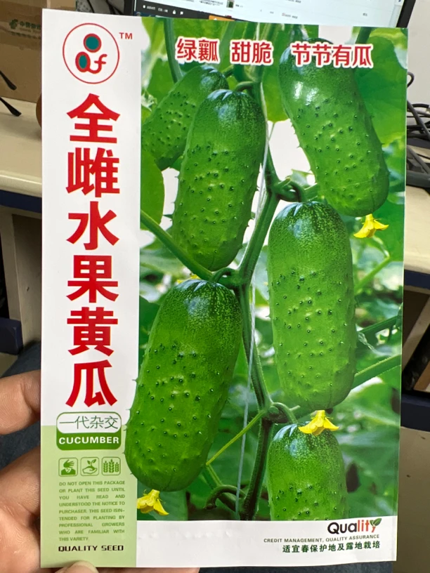 全雌水果黄瓜种子（搭架）