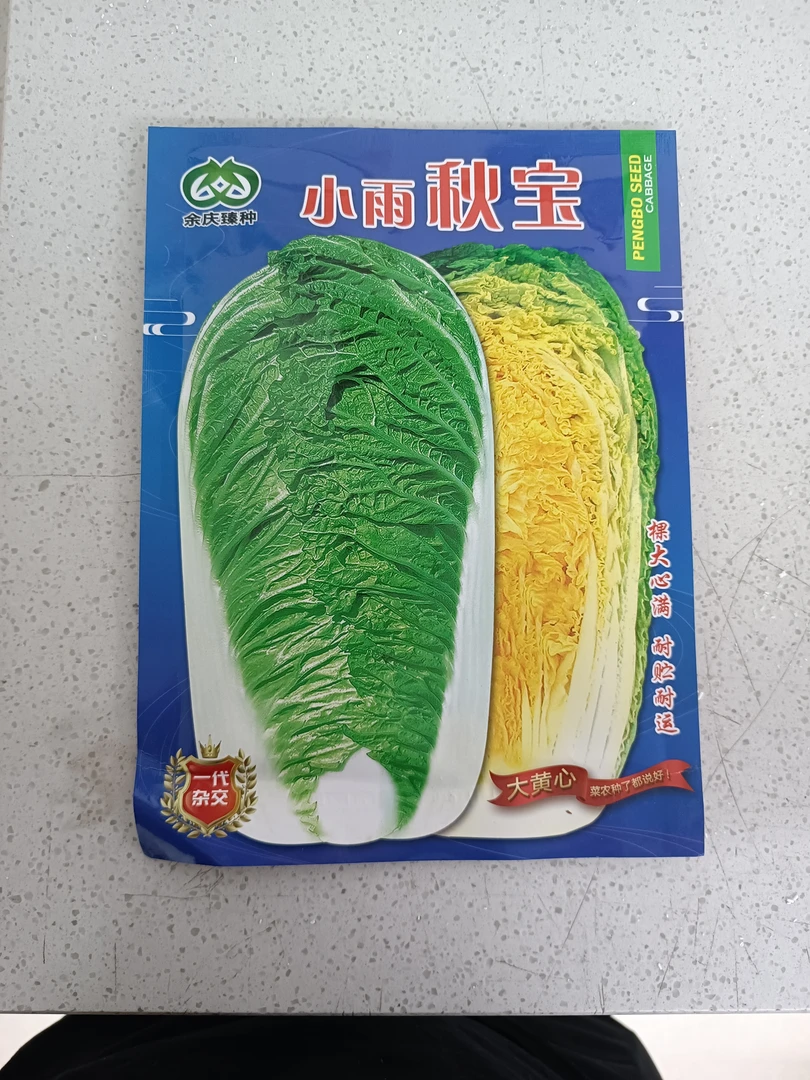 小雨秋宝白菜籽