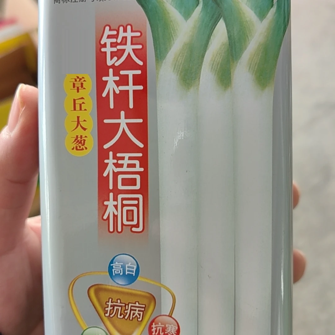 铁盒铁杆 大梧桐