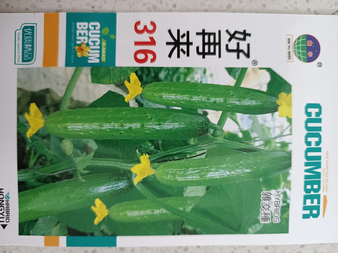 好再来316（60粒）黄瓜种子