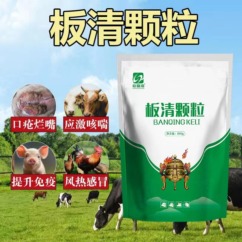 500g板清颗粒 牛羊猪鸡鸭鹅风热感冒清热下火应激咳喘兽用添加剂