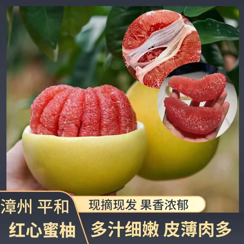 【红柚果王】正宗福建平和琯溪蜜柚5斤 红肉柚子 红心柚子 三红柚子