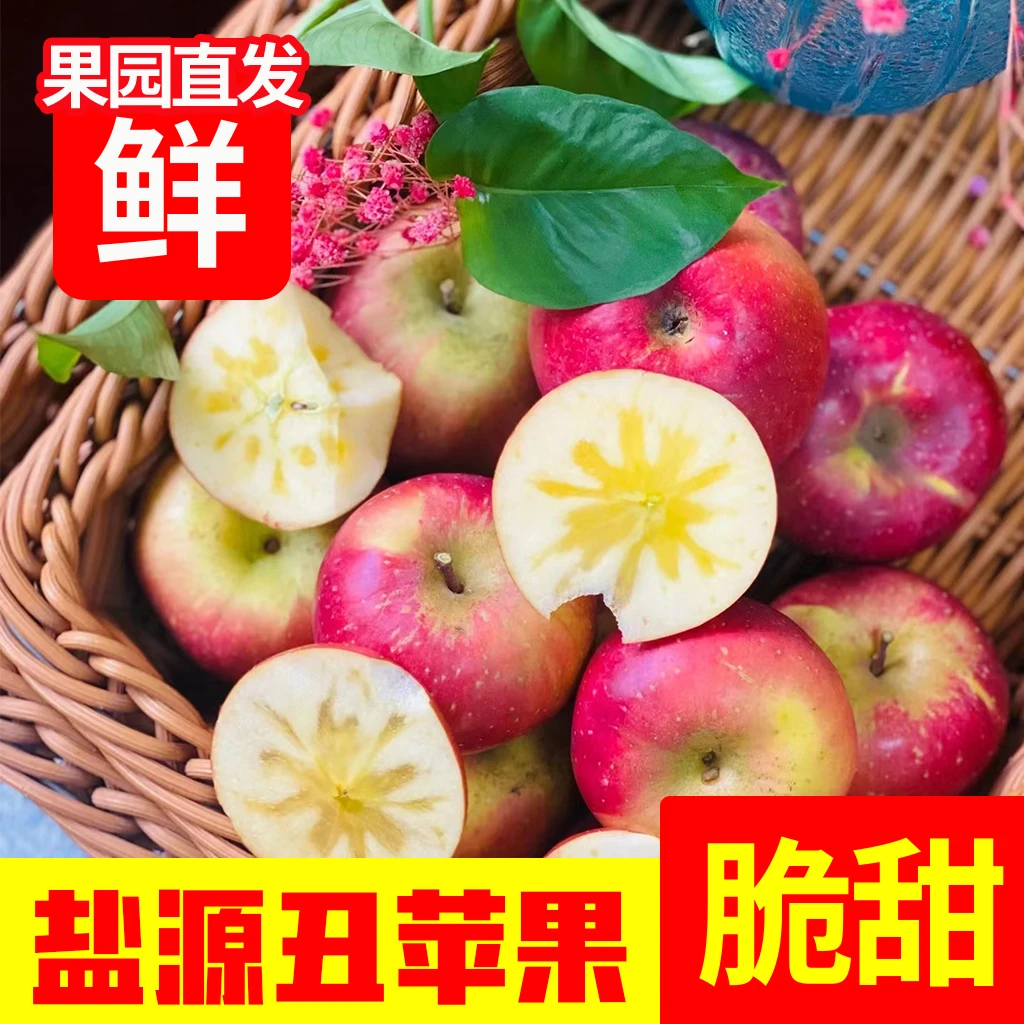 四川盐源糖心苹果  新鲜应季水果现摘现发 香甜多汁 嘎嘎甜