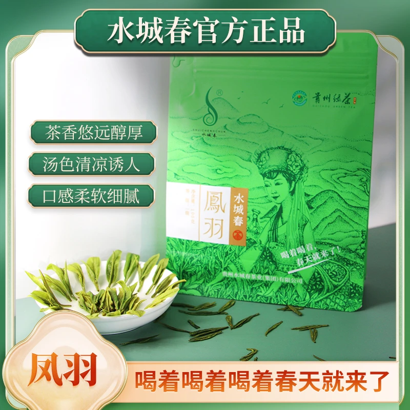 贵州高山好茶正宗水城春凤羽绿茶100g新包装