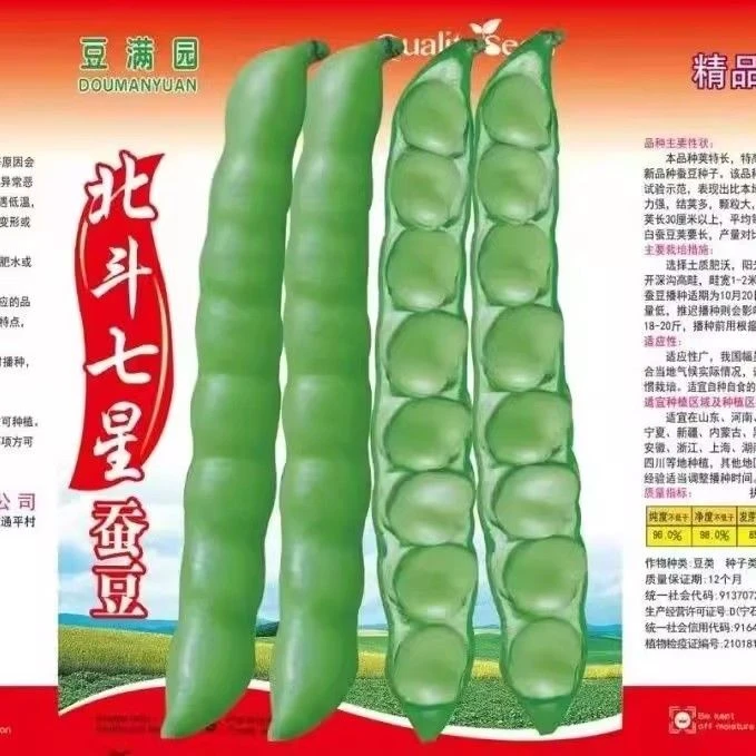 特大糯米蚕豆种子高产北斗七星罗汉豆春秋冬季播种早熟耐寒胡豆籽