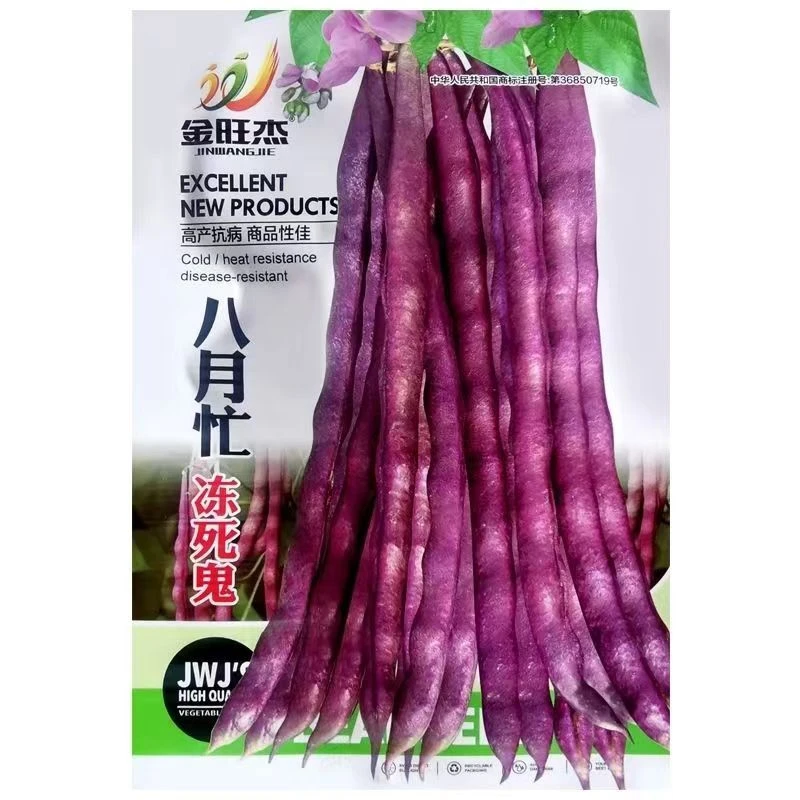 八月忙冻死鬼豆角种子紫红耐寒耐热高产无筋四季秋季春季阳台菜籽