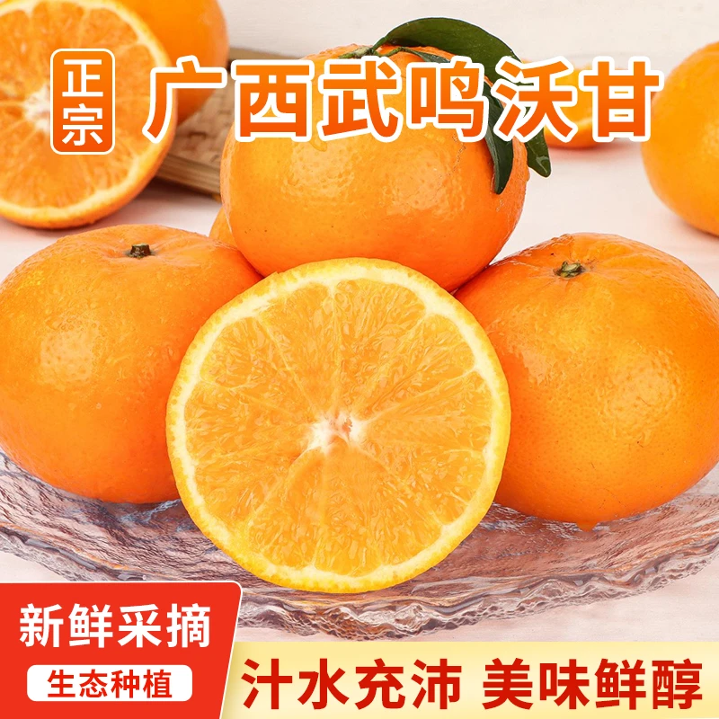 正宗广西武鸣沃柑5斤新鲜采摘产地直发T16