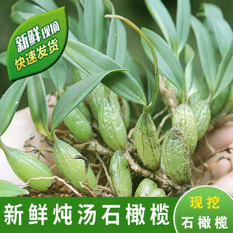 新鲜石橄榄双叶单叶石橄榄新鲜石仙桃煲汤鲜货营养