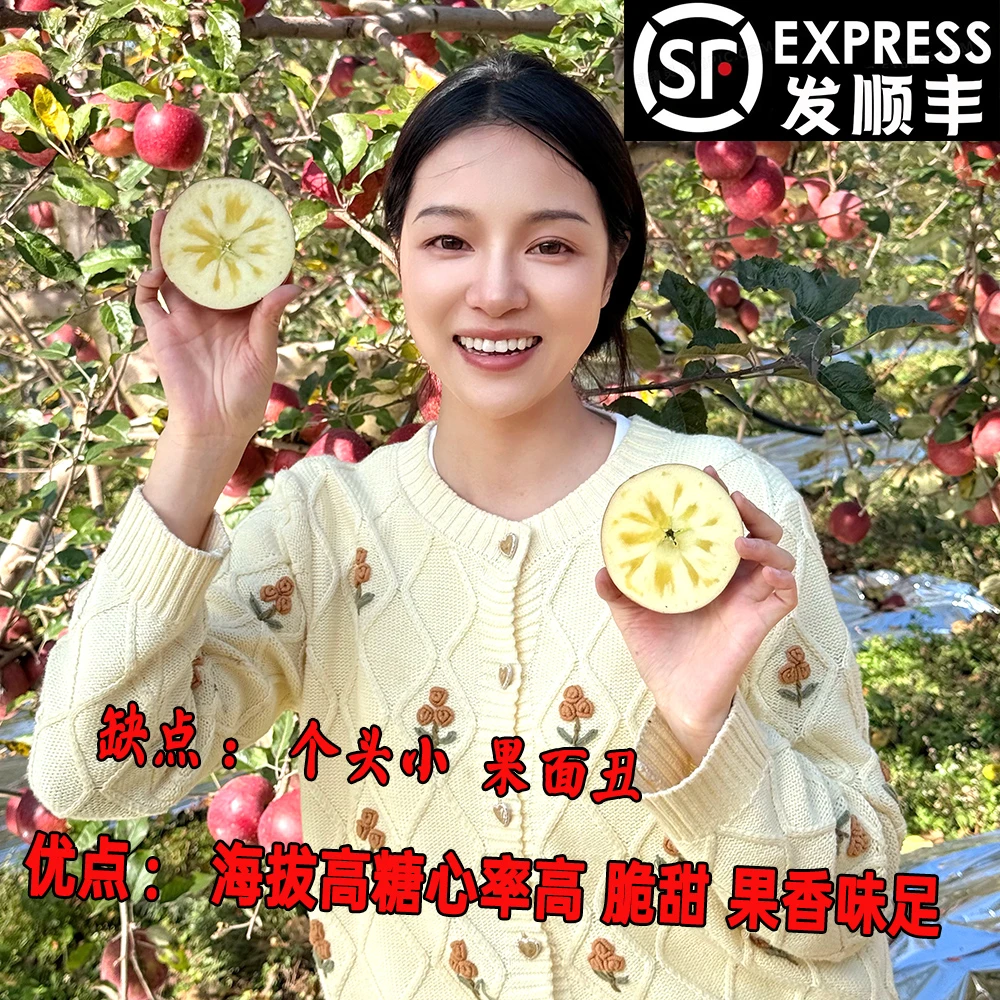 【顺丰】现摘盐源丑苹果大凉山脆甜新鲜水果红富士冰糖心杨丹丹推荐