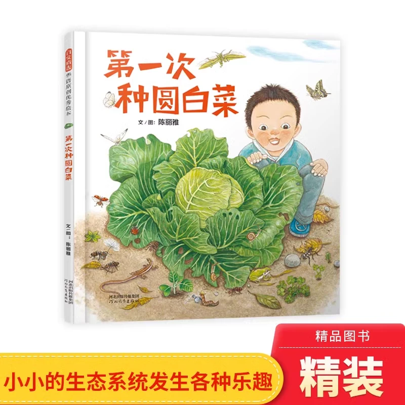 第一次种圆白菜精装绘本图画书认识圆白菜适合4-7岁启发正版