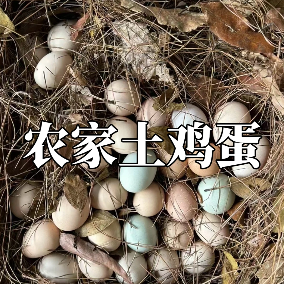 【阿斌家-农家土鸡蛋】湖南湘西农产品土鸡蛋