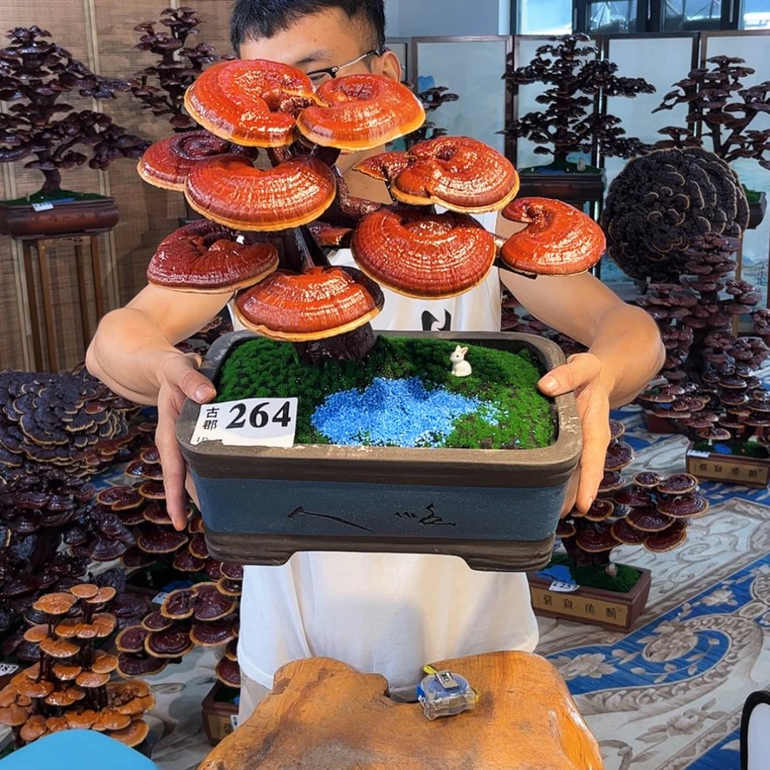 【闪购商品】88888