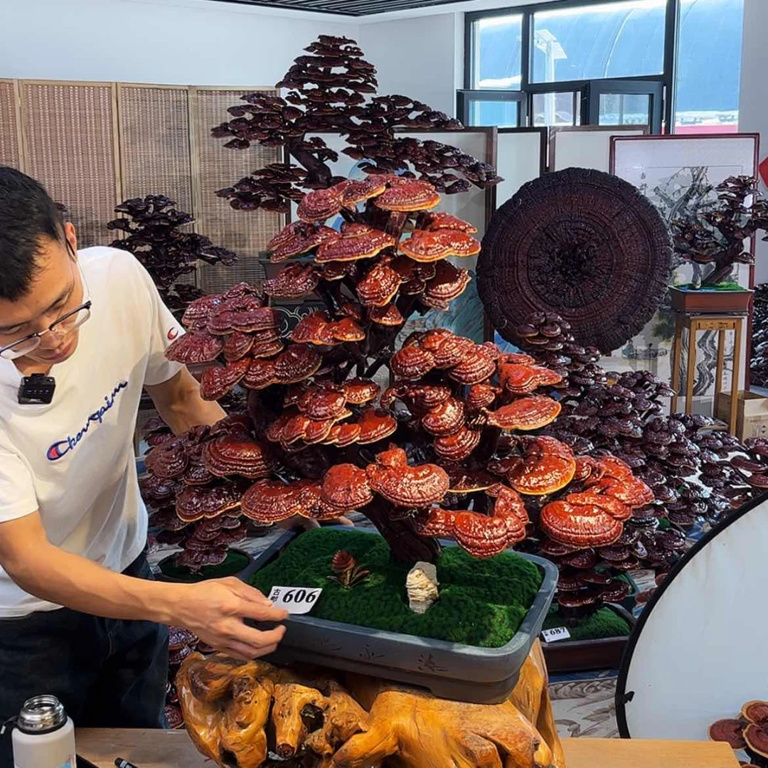 【闪购商品】来**长88888