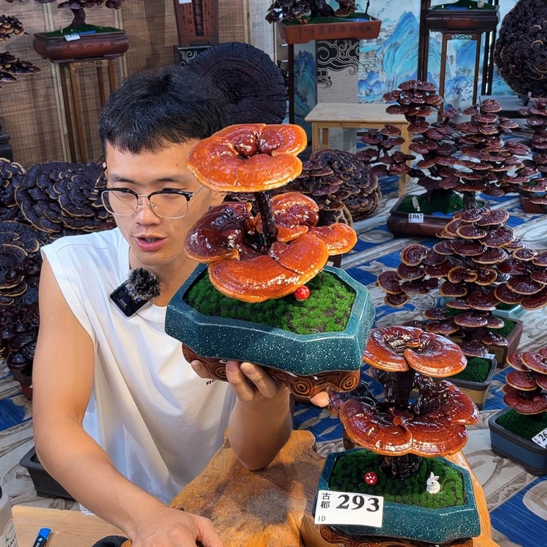 【闪购商品】888888