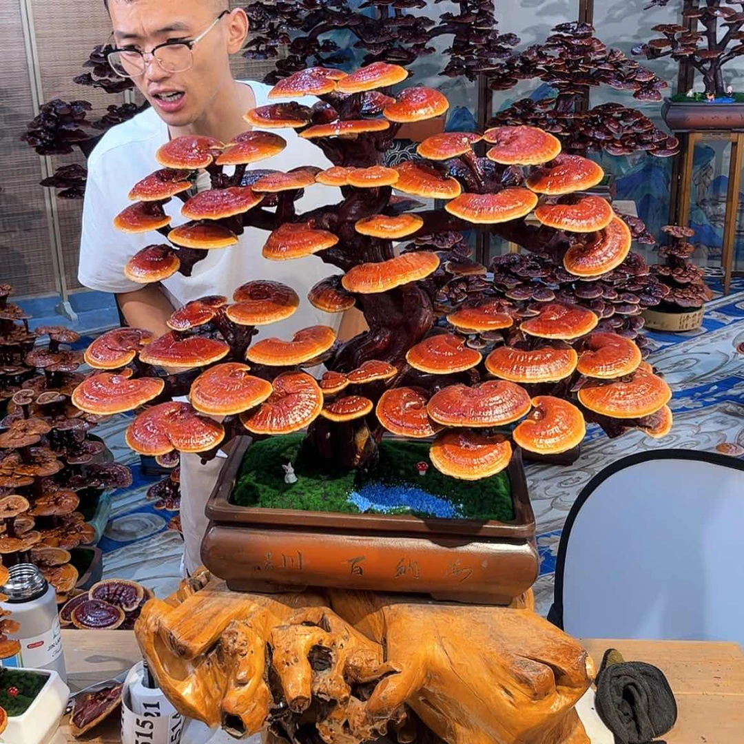 【闪购商品】888888
