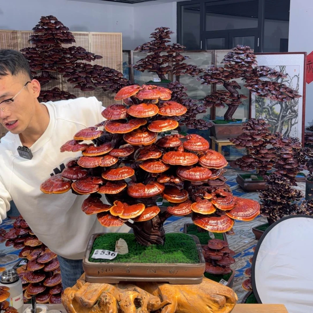 【闪购商品】88888