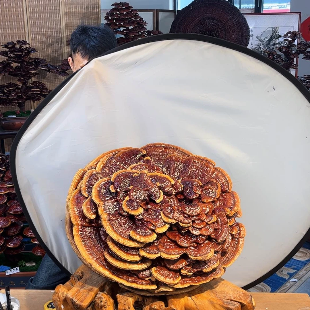 【闪购商品】88888