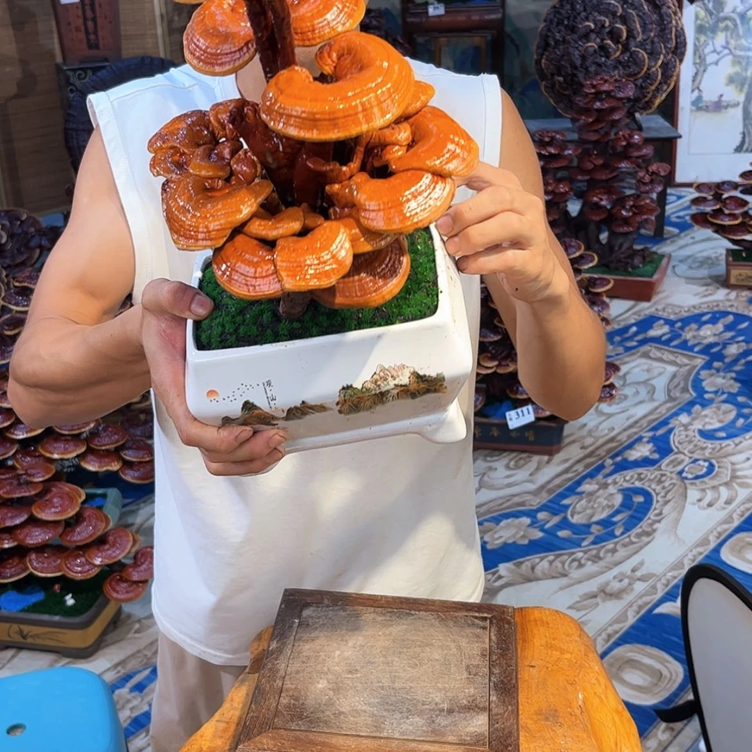 【闪购商品】88888