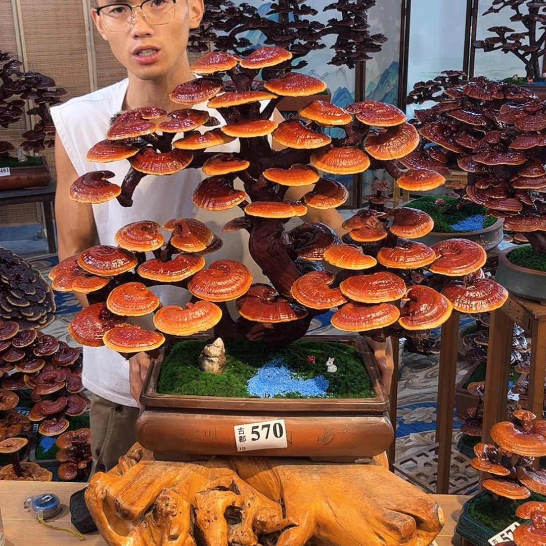 【闪购商品】88888