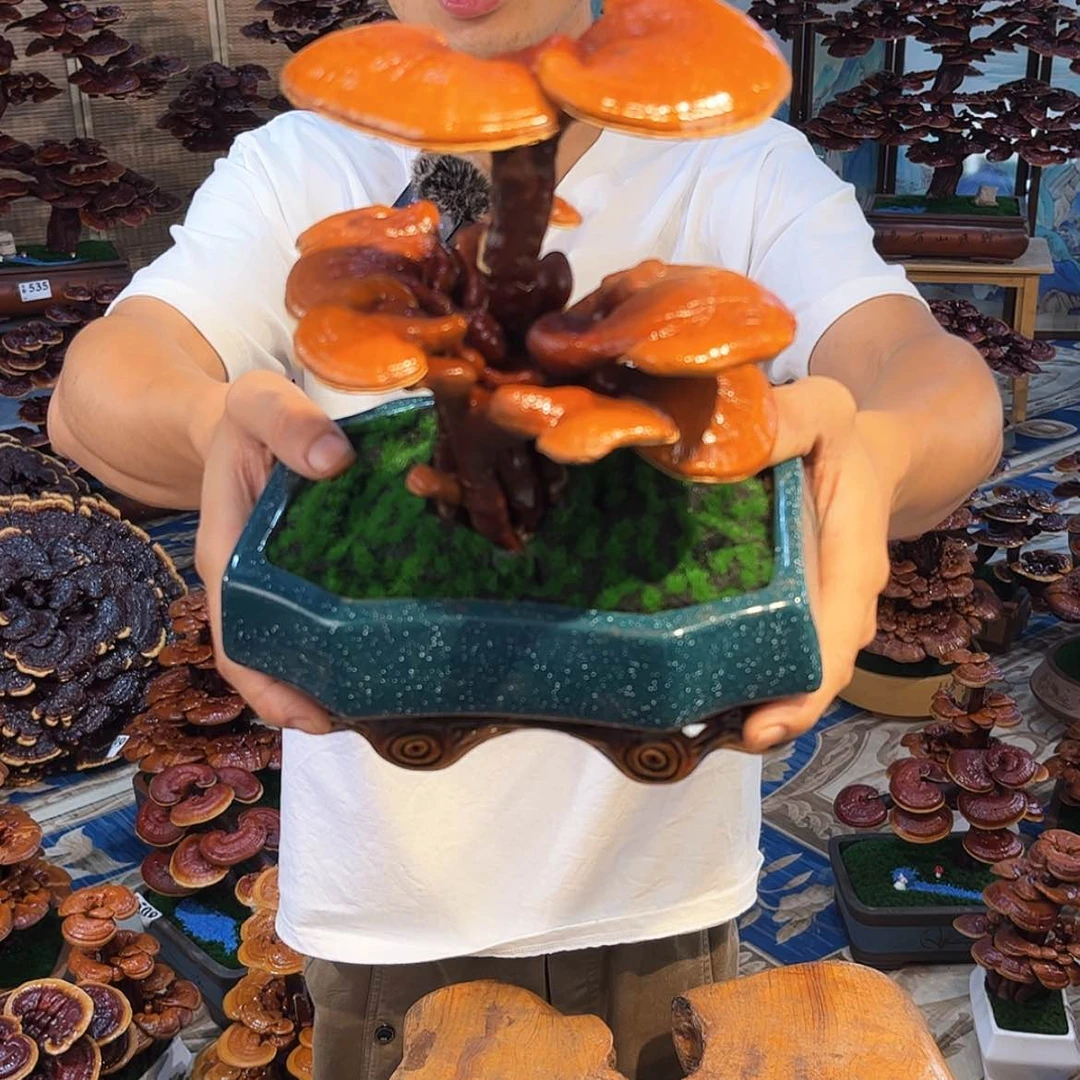 【闪购商品】88888