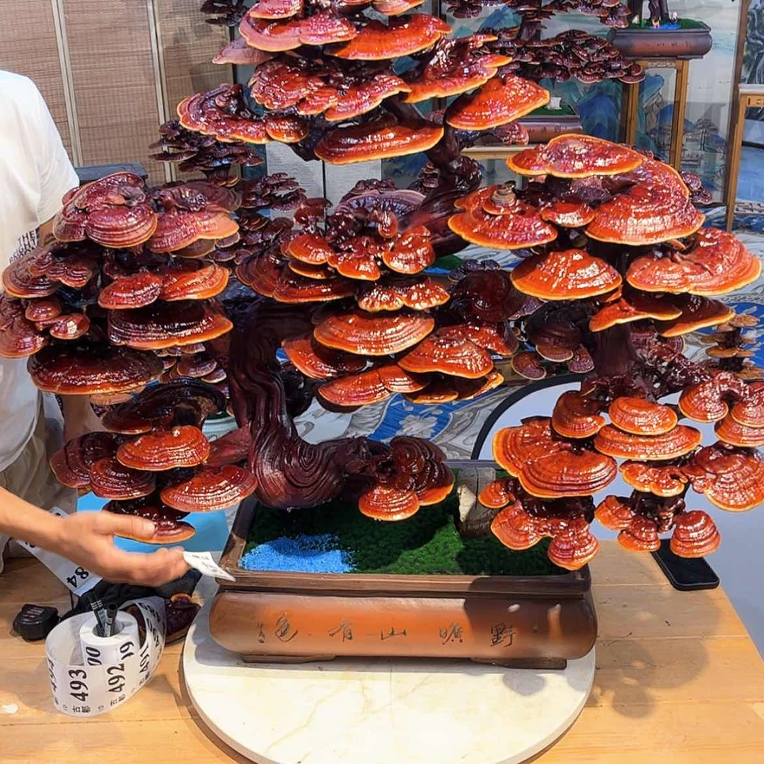 【闪购商品】888888