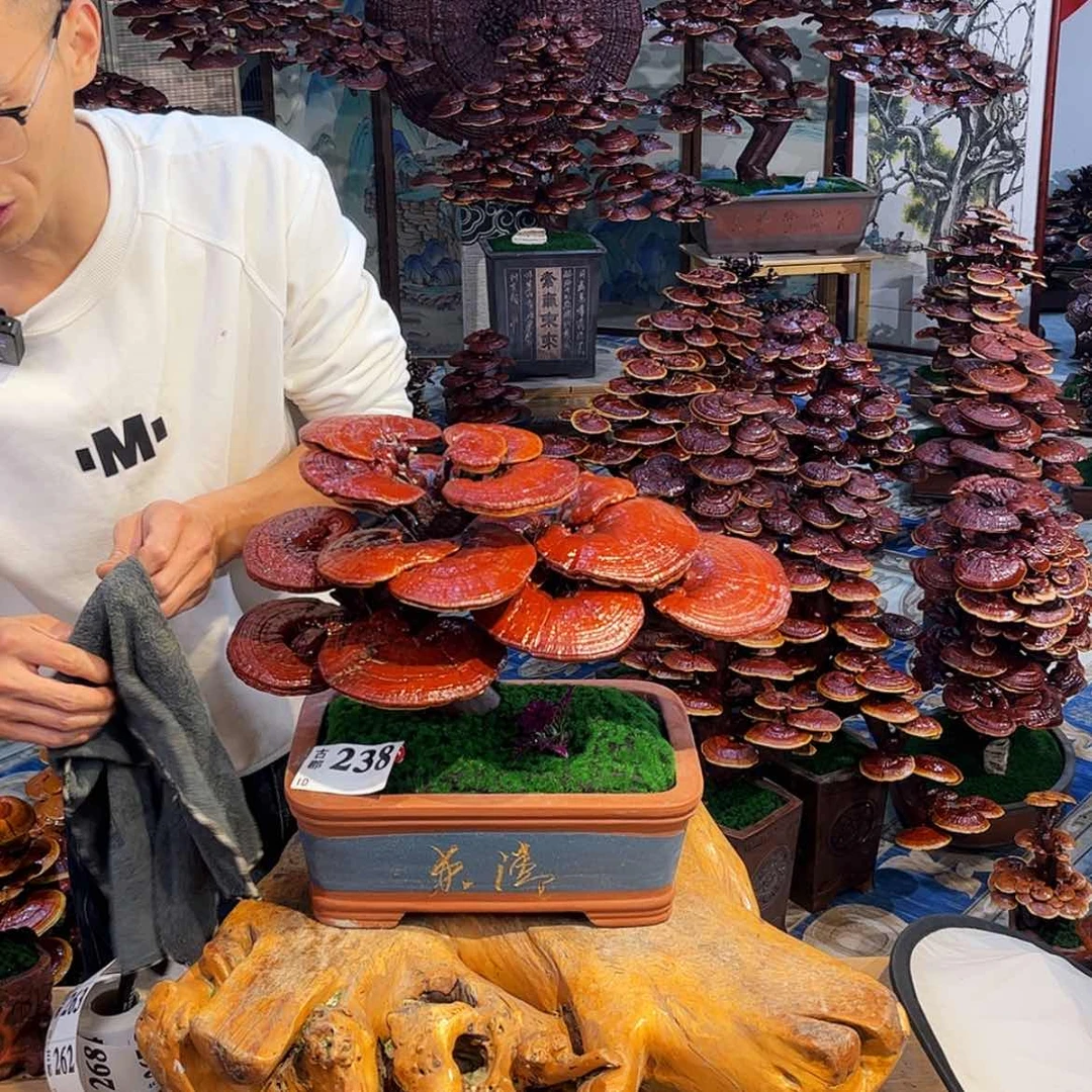 【闪购商品】8989999899